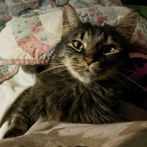 Meet your Posher, Carolyn